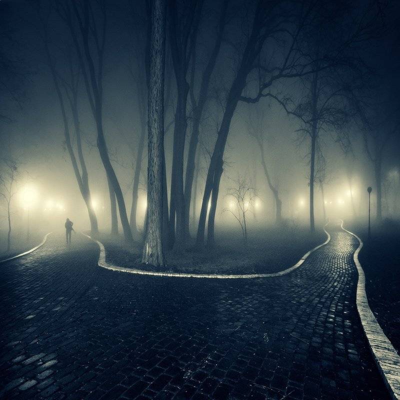 , Владимир Точаненко