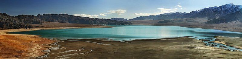 ортотокой ...photo preview