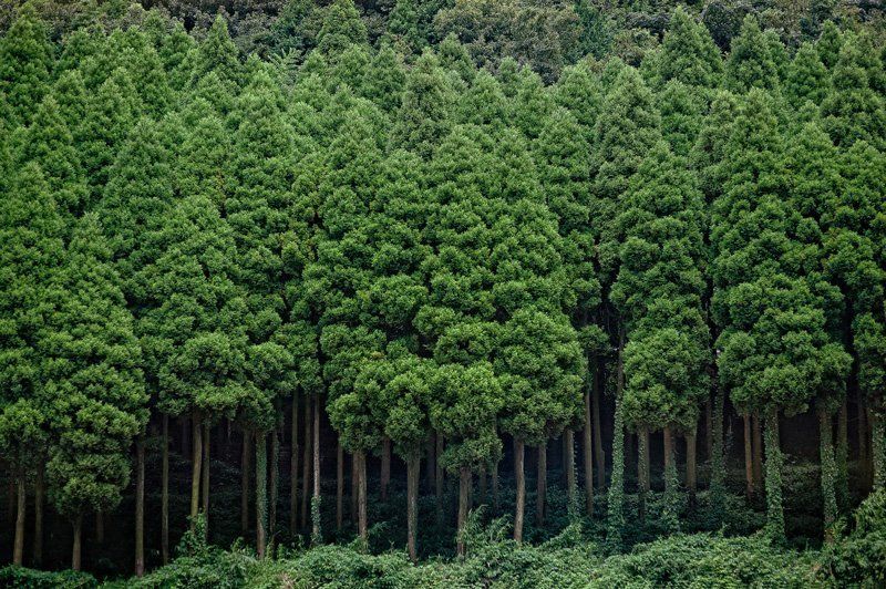 где-тоphoto preview