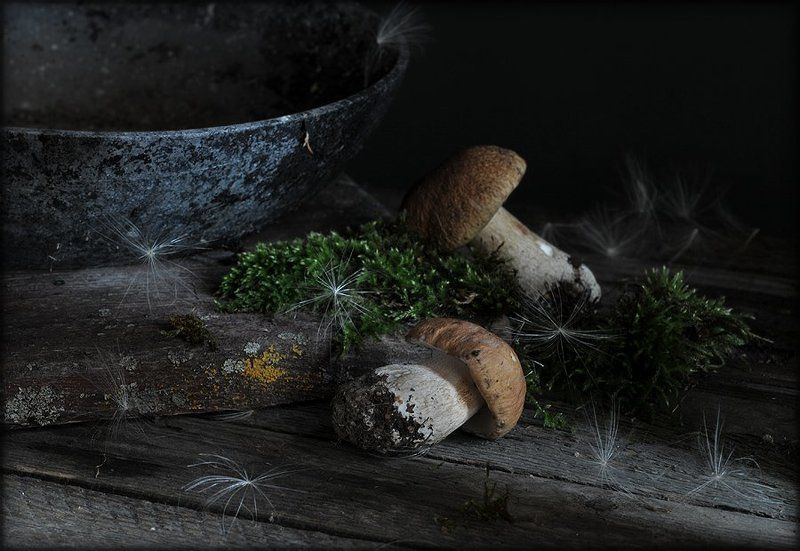 натюрморт,  грибы Про белые...photo preview