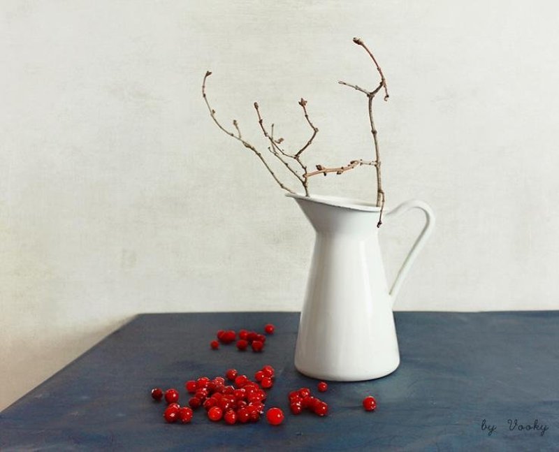 клюква фото превью