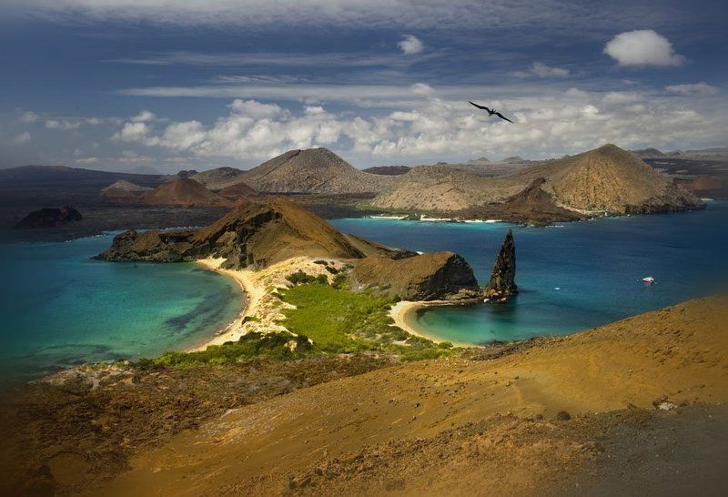 остров бартоломе, эквадор, птица-фрегат Фрегат, над островом парящий...photo preview