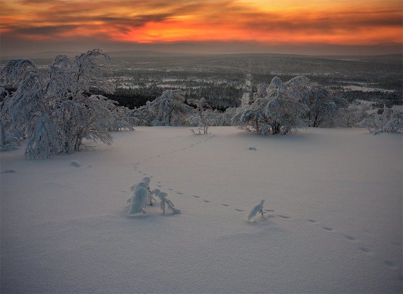 кольский, полуостров, зима Зима фото превью