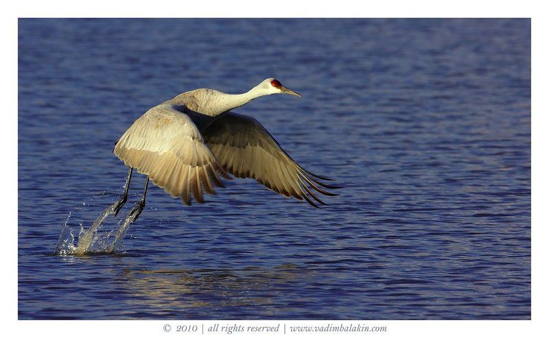 Отрыв!photo preview