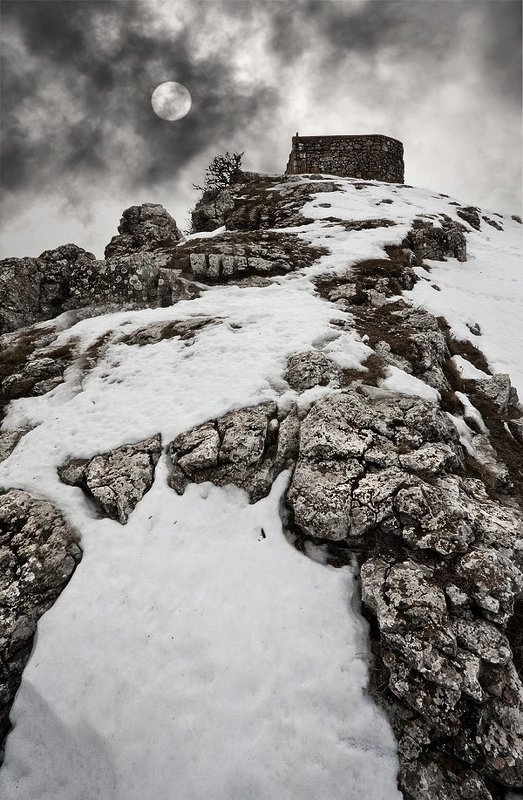 Последний приютphoto preview