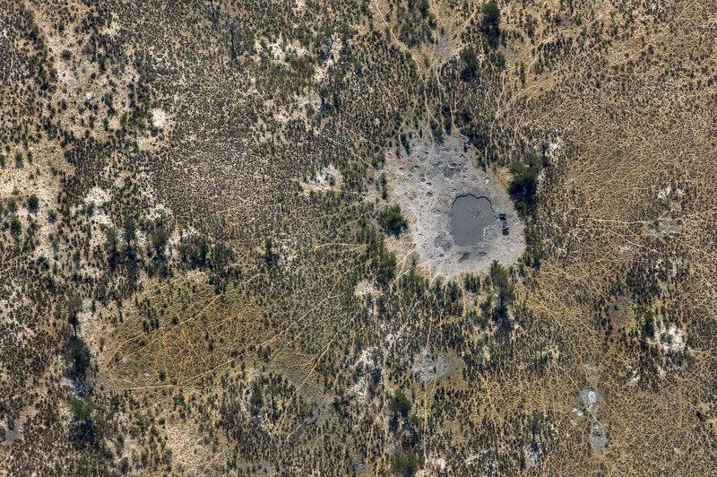 Водопой со слонамиphoto preview