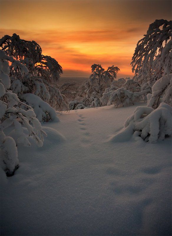 кольский, полуостров, зима ***Зимний пожар*** фото превью