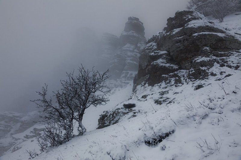 зима, январь, крым, димерджи Подьем на Димерджи, январьphoto preview