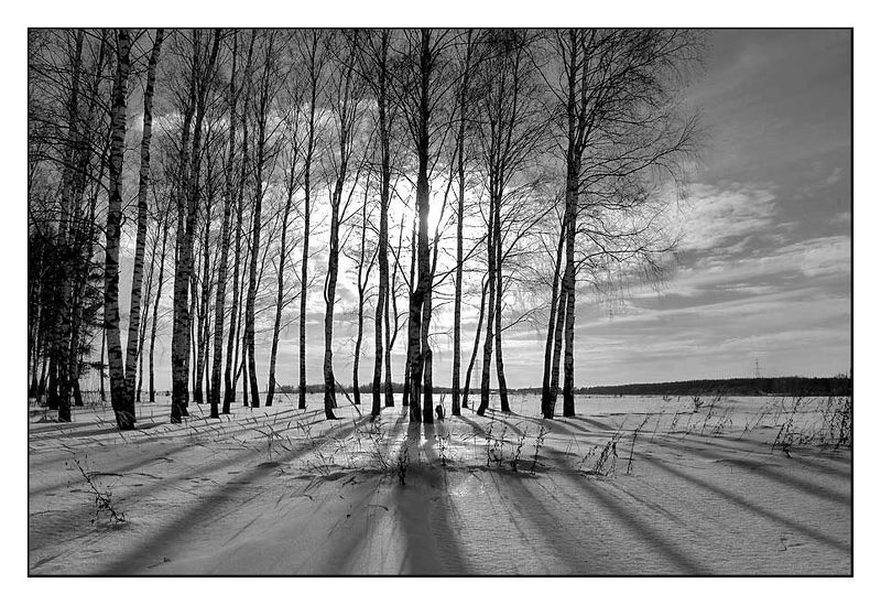 Зимнийphoto preview