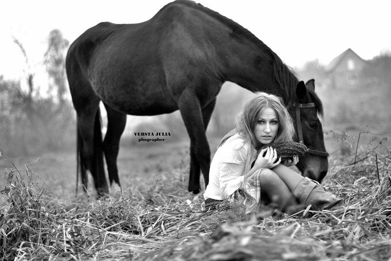 кінь, дика, чб, Дикункаphoto preview