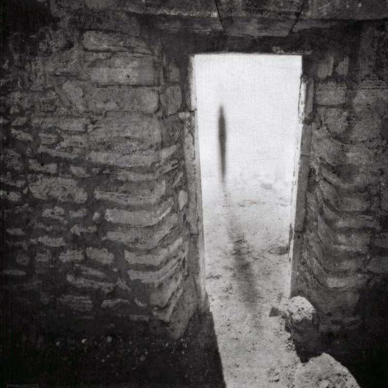 alone .photo preview