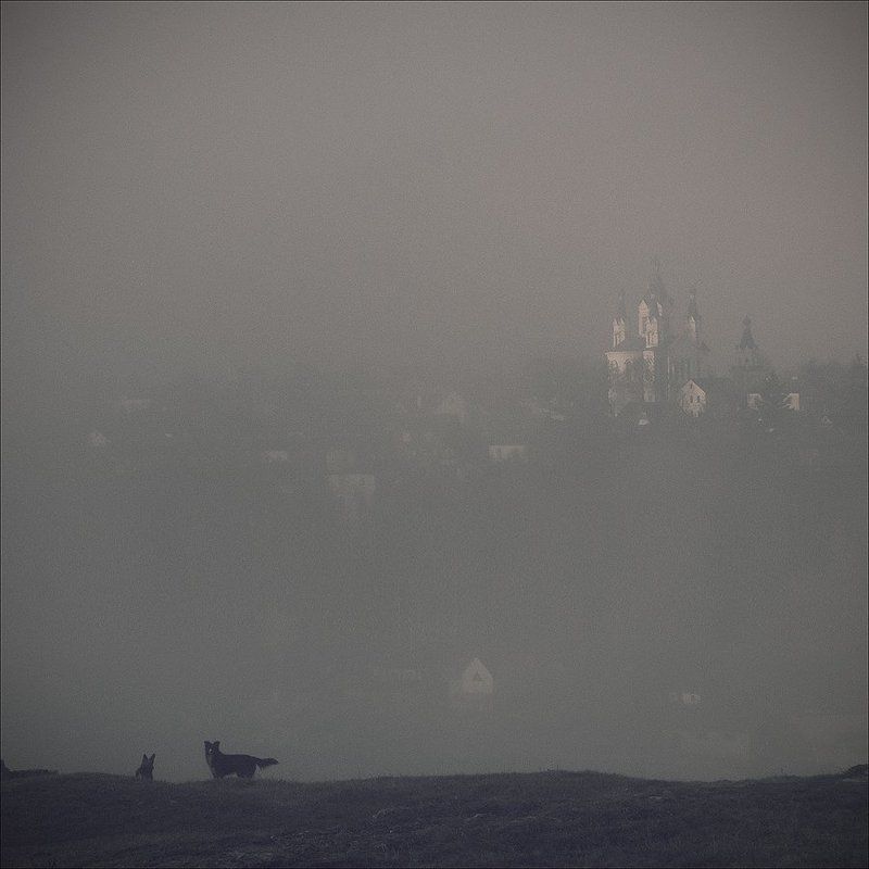 amethystium, arina, уроки рисования,окно Amethystiumphoto preview