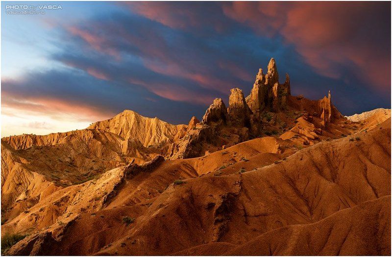 photo, safari, kyrgyzstan, иссык-куль Южный берег Иссык-Куляphoto preview