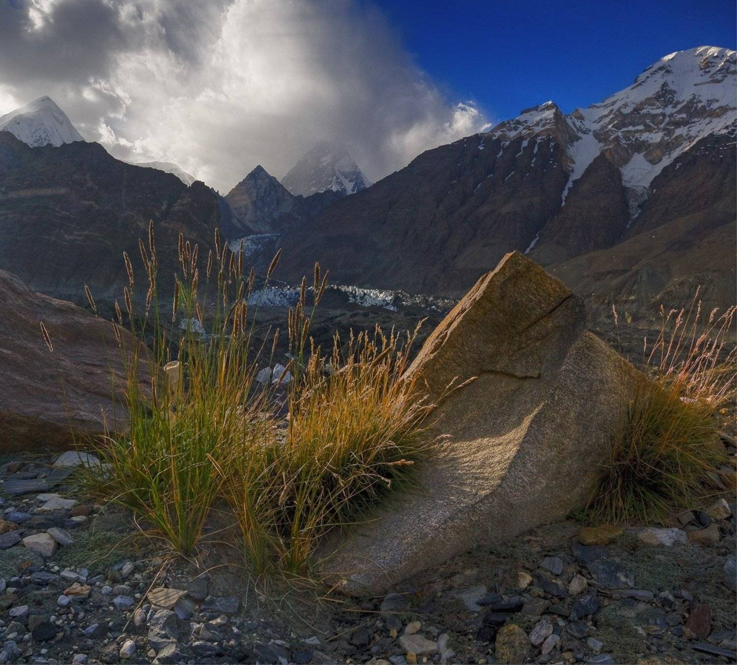 Такой разный Памир. Автор: Андрей Chogori Громов памир, ледники, островок лета среди льдов, Андрей Chogori Громов