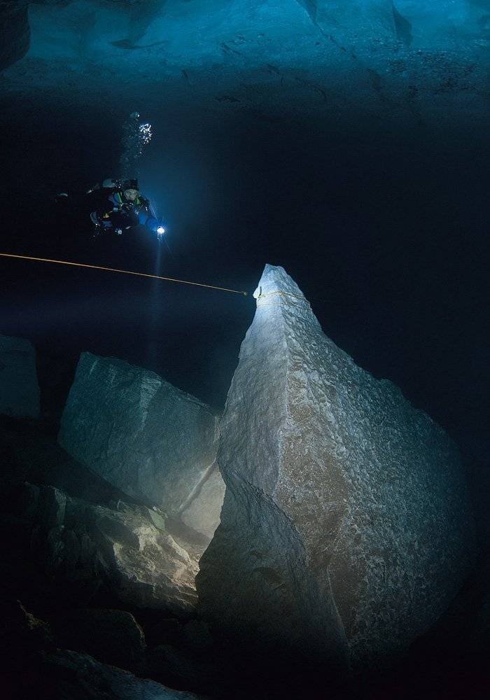 Зуб Дракона. Автор: Витя Лягушкин , Витя Лягушкин