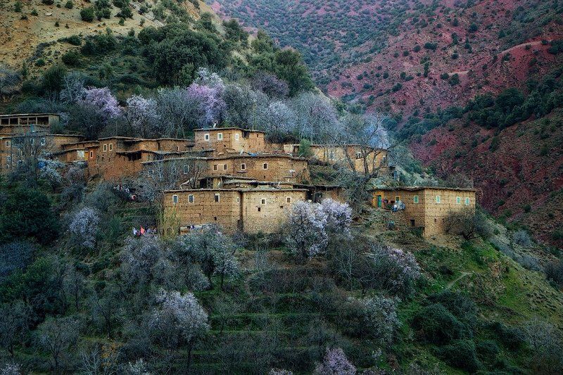 марокко Когда цветут персики...photo preview