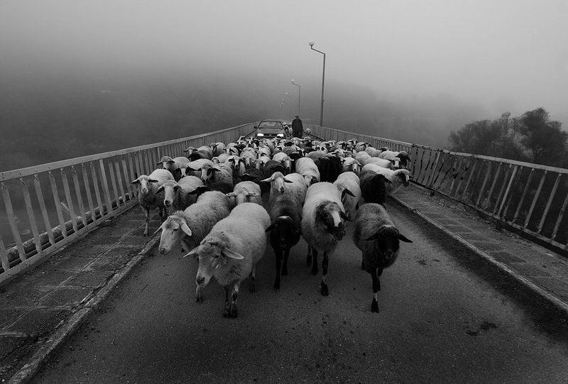 День начался с туманаphoto preview