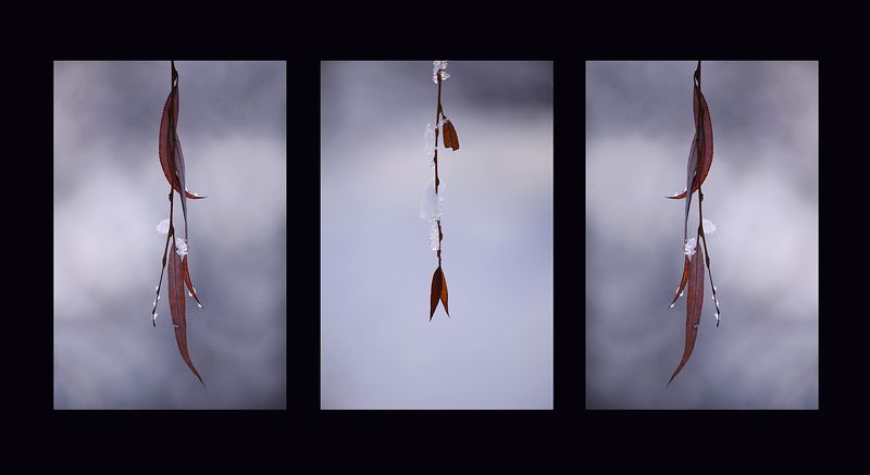 Скоро весна, ну а пока ...photo preview