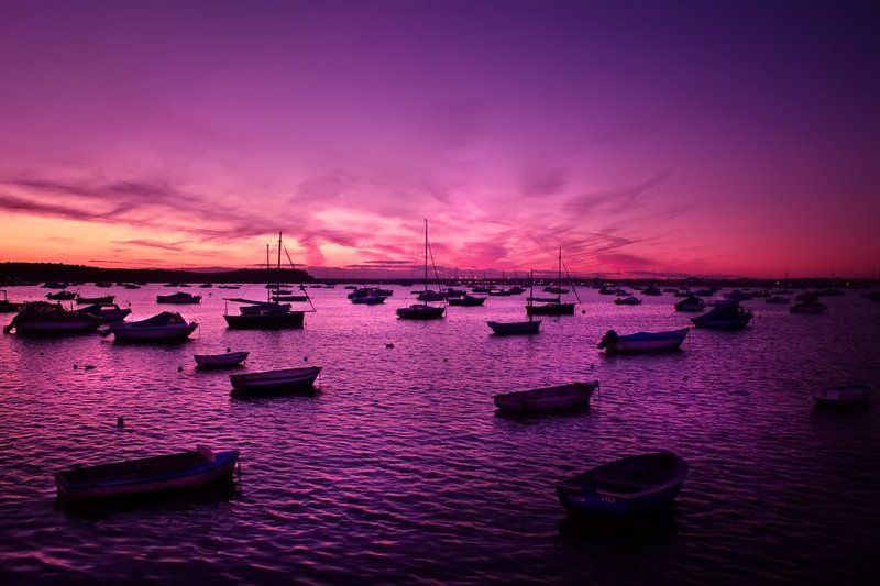 MY WORLDphoto preview