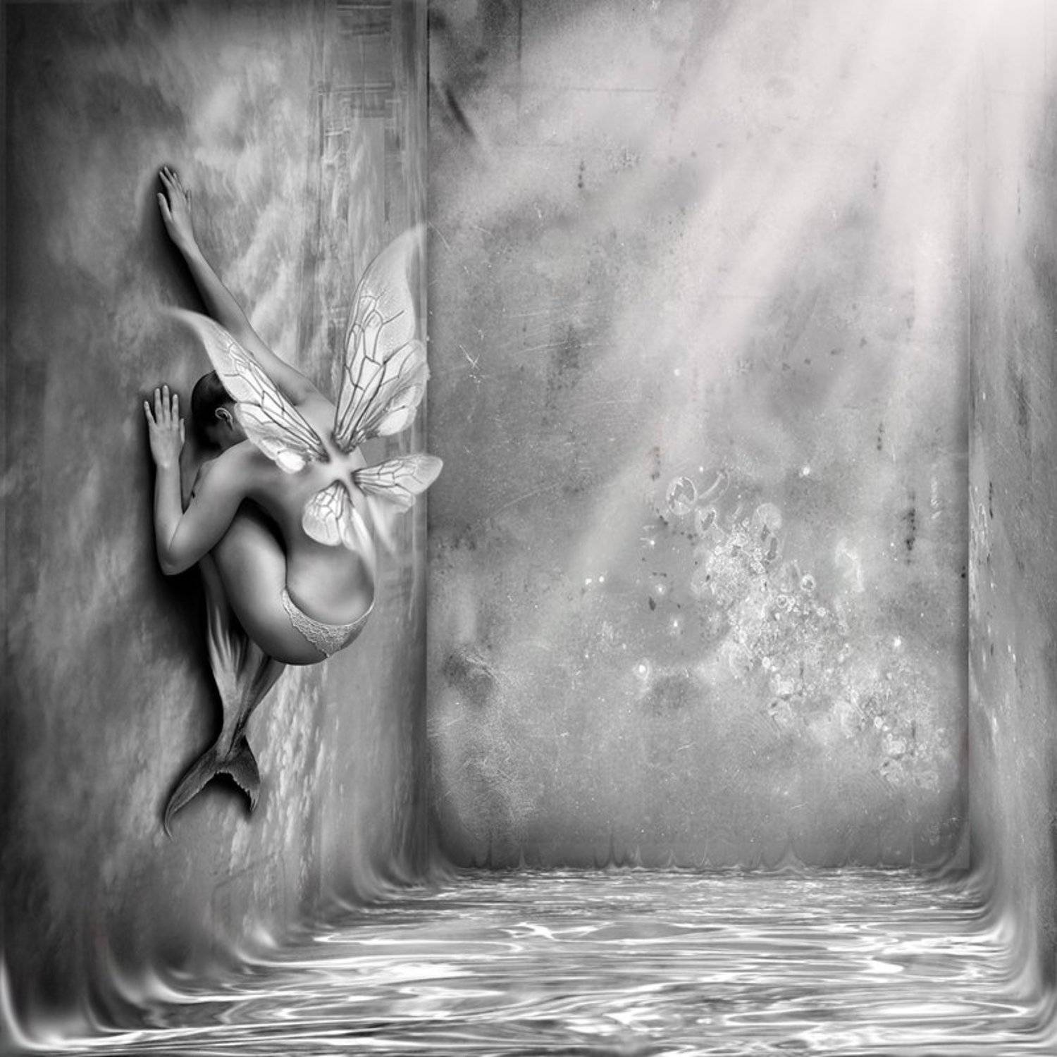 рыбка моя.... Автор: Детеныш , Детеныш