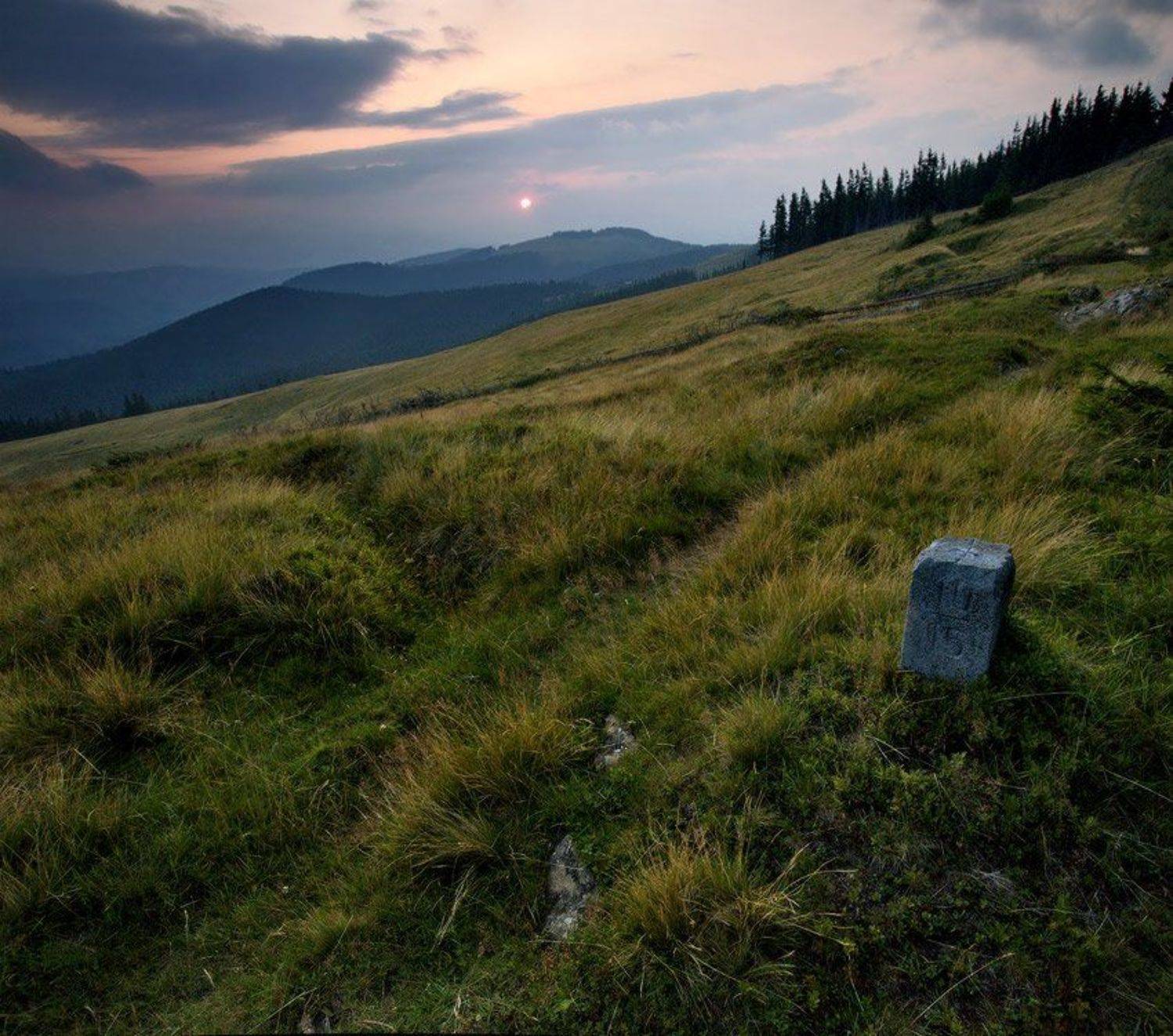 карпаты, природа, пейзаж, лето, панорама, горы, Piligrim