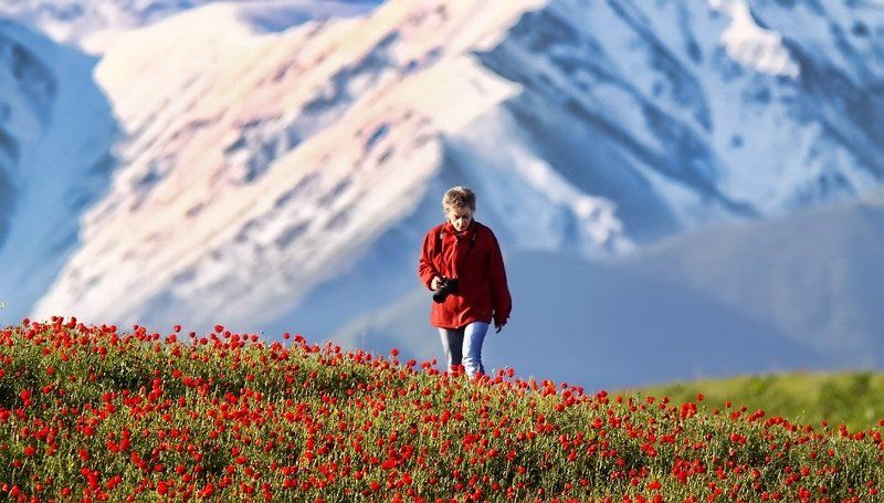 Violet Охотница за красиво-красиво)photo preview