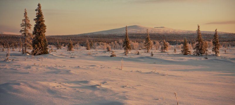 кольский, полуостров, зима Прошлогодняя зима фото превью