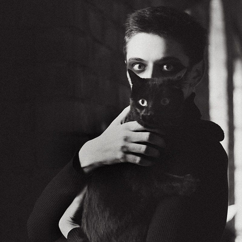 кот, черный Два котаphoto preview