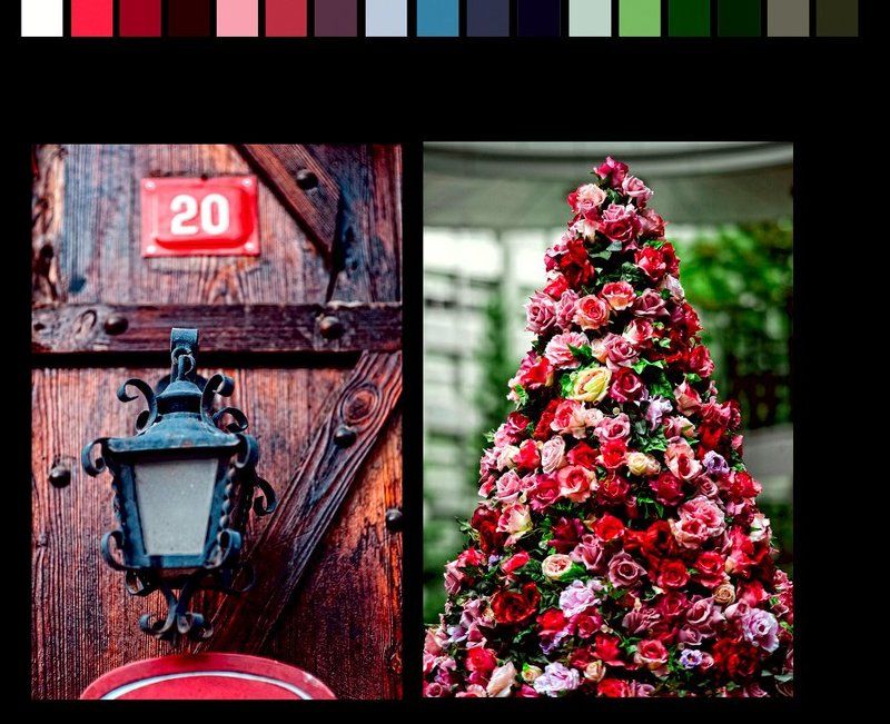 колоритphoto preview