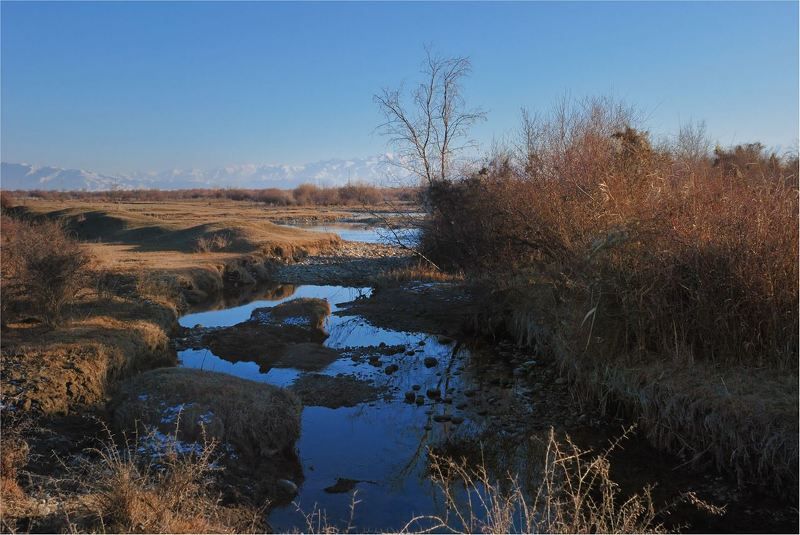 природа Пока февраль ,когда же...лето.....photo preview