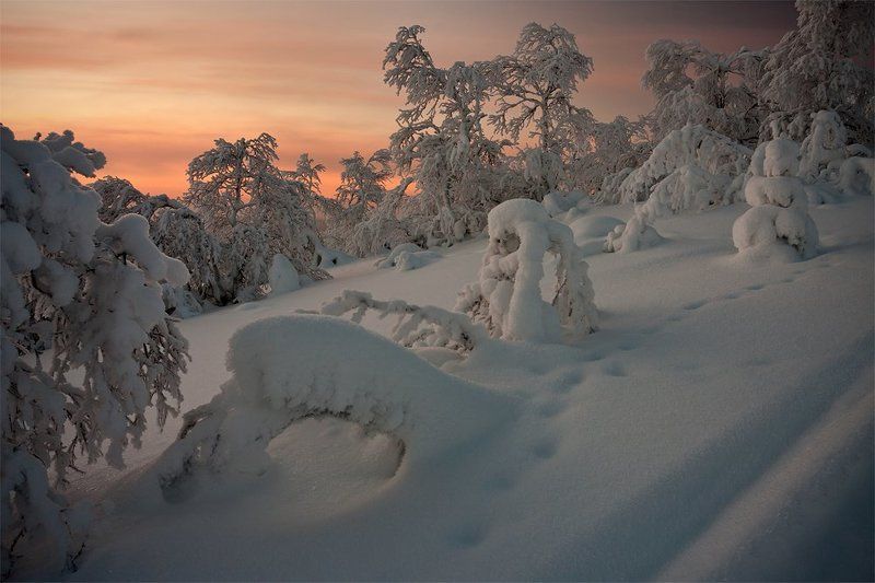 кольский, полуостров, зима Зимняя... фото превью