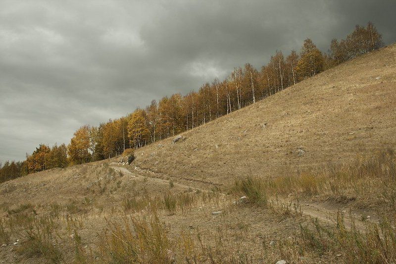 пейзаж, осень, лес Диагональностьphoto preview