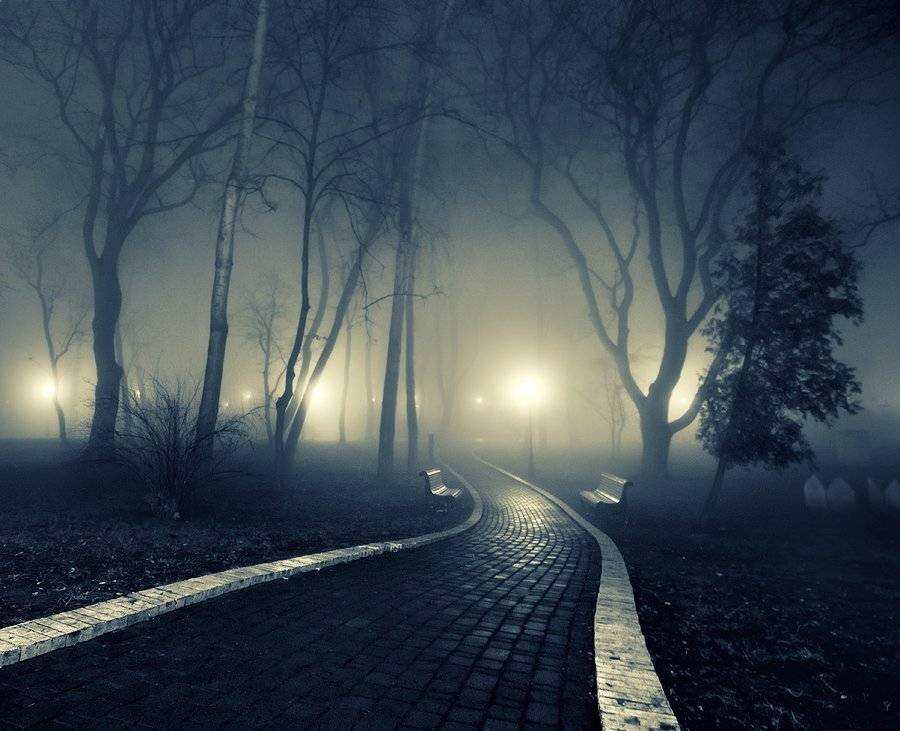 , Владимир Точаненко