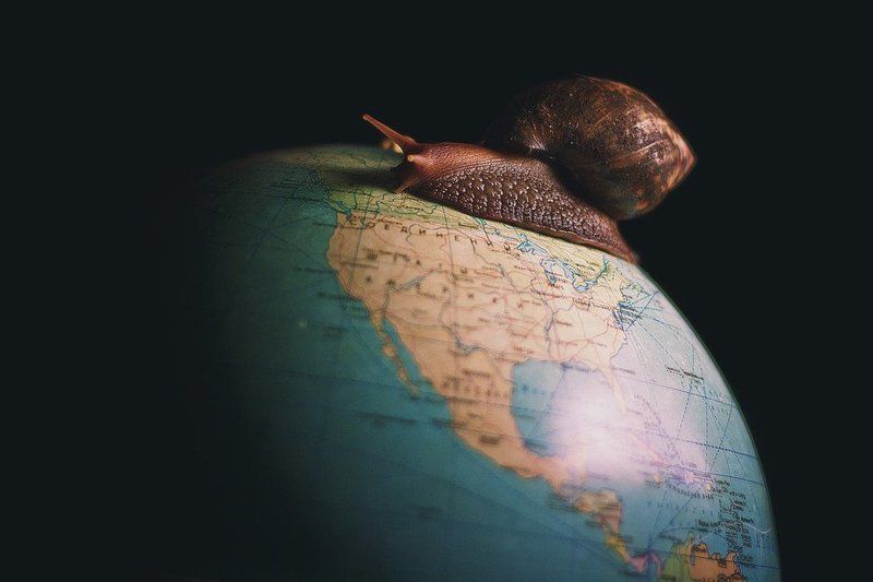 The big snailphoto preview