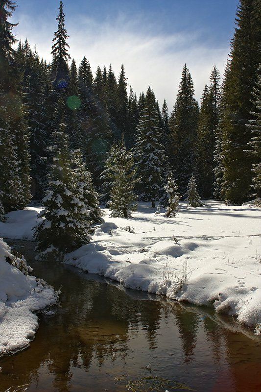 Bulgarian winterphoto preview