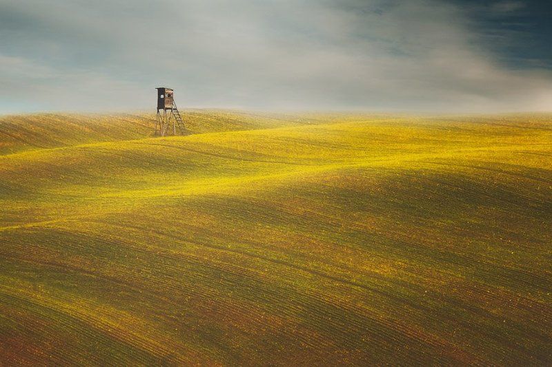 Sunny dayphoto preview