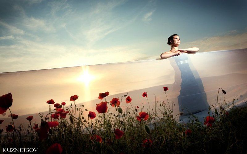 крым, маки, кузнецов, севастополь photo preview