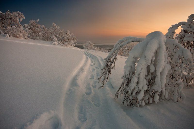 кольский, полуостров, зима моя 100я на 35фото фото превью