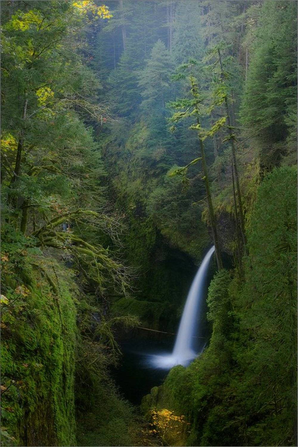 Автор: Ben Marar , Ben Marar