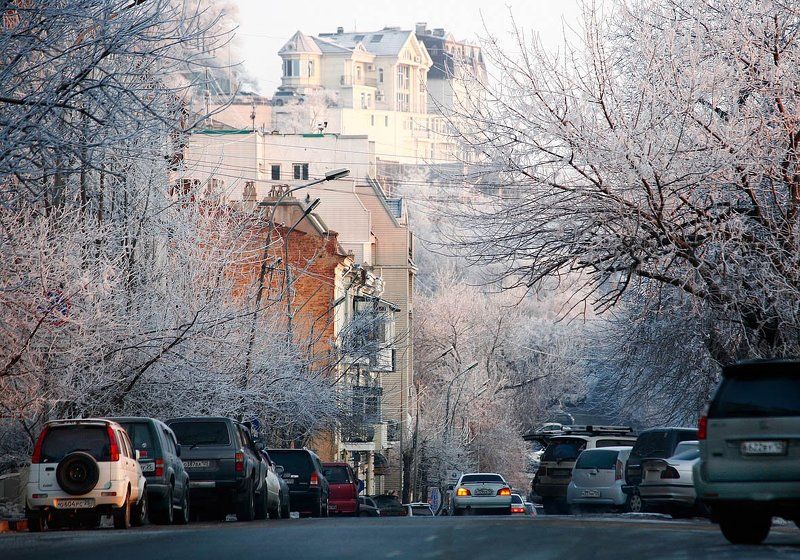 зима,иней,город, утроphoto preview