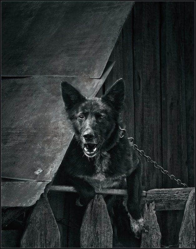 А, опять ты ...photo preview