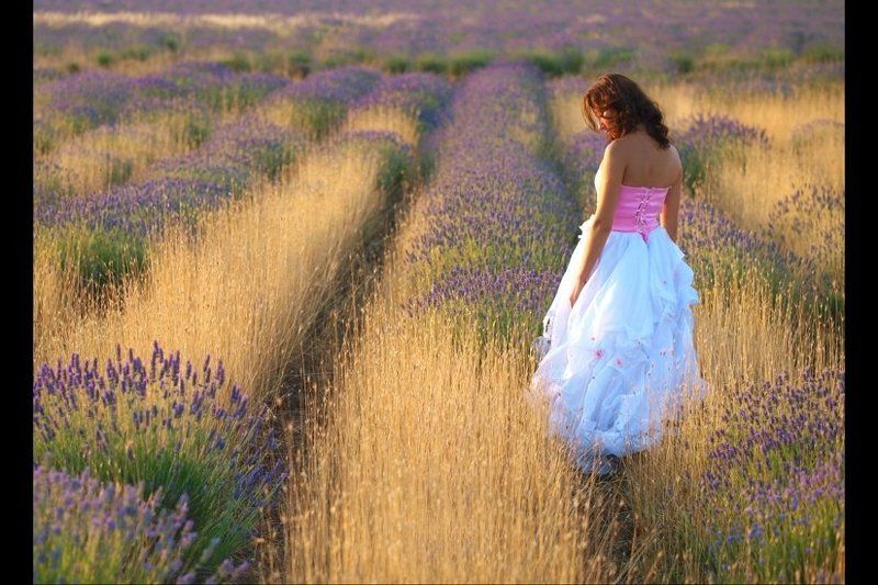 севастополь, кузнецов, лаванда, крым провансphoto preview