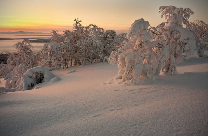кольский, полуостров, зима Теплый зимний свет фото превью