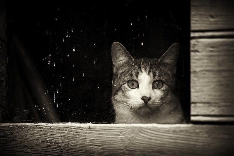 живу я здесь...photo preview