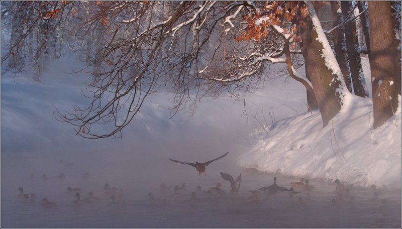 Из жизни одной маленькой речкиphoto preview