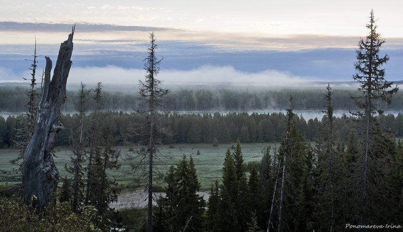 Вотчина Патракаphoto preview