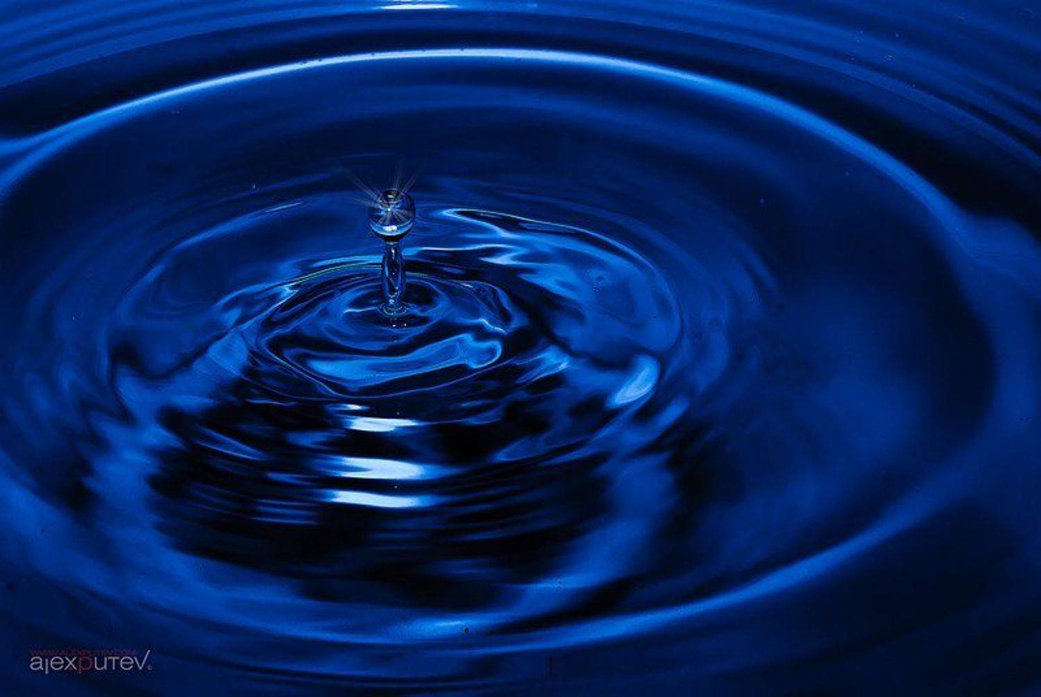 капелька. Автор: Александр Путев капля,вода,жидкость,динамика, Александр Путев