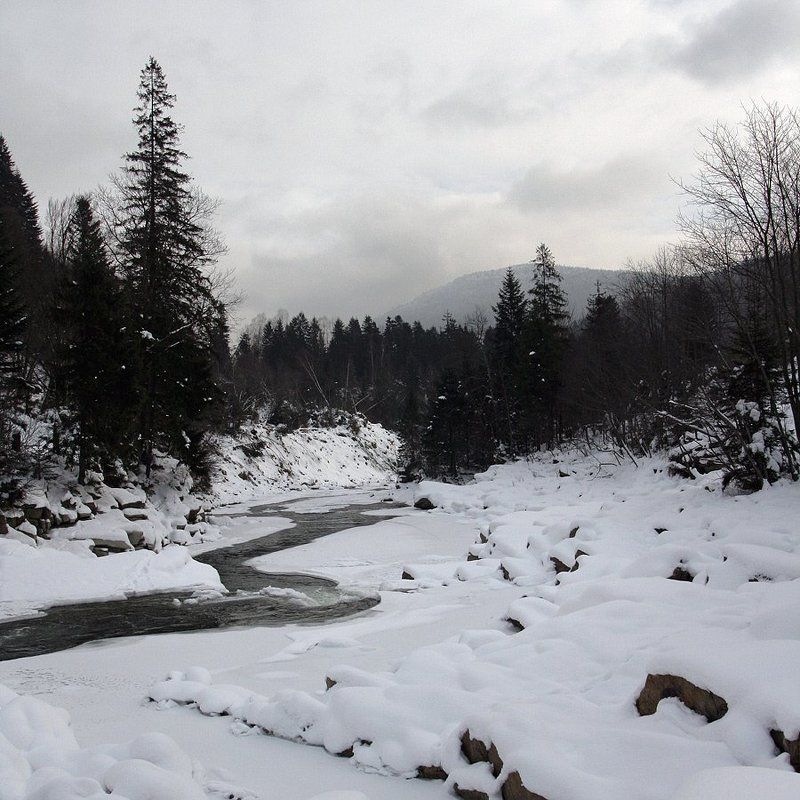 горганы, мизурка ***photo preview