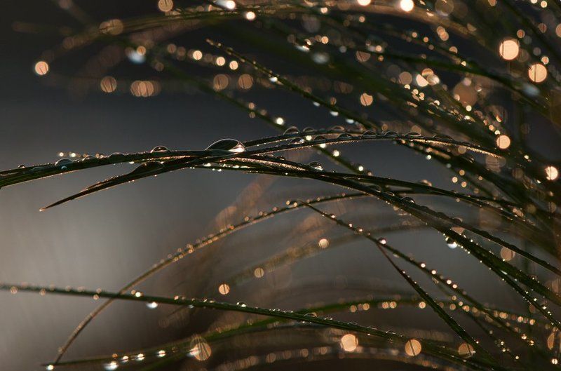 капли Калейдоскоп заката...photo preview