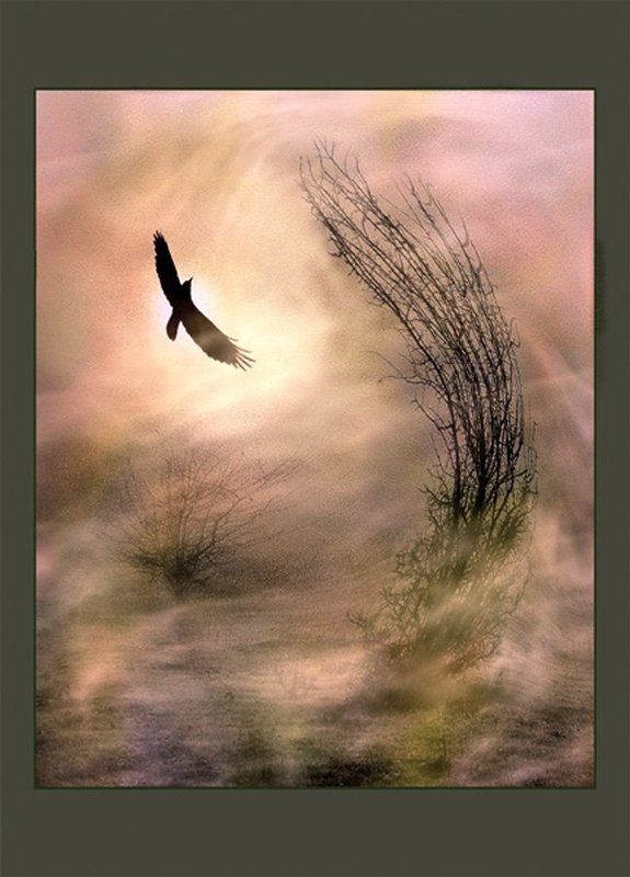 вихрь, схватка, противостояние, в, бурю, компьютерная, обработка photo preview